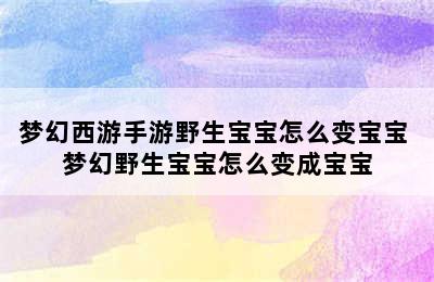 梦幻西游手游野生宝宝怎么变宝宝 梦幻野生宝宝怎么变成宝宝